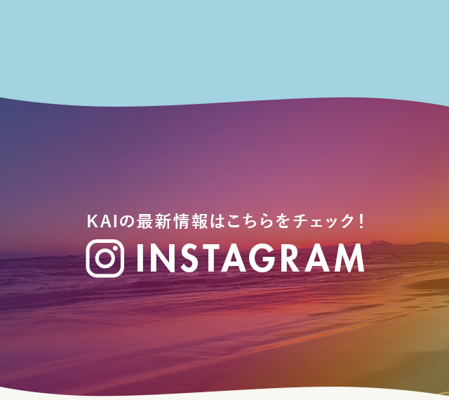 sp_insta_bnr